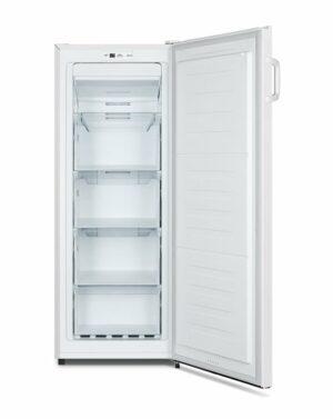 FV191N4AW2 Gefrierschrank
