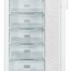 GNP 2333-20 Gefrierschrank