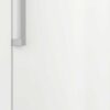 FN 4742 E Gefrierschrank